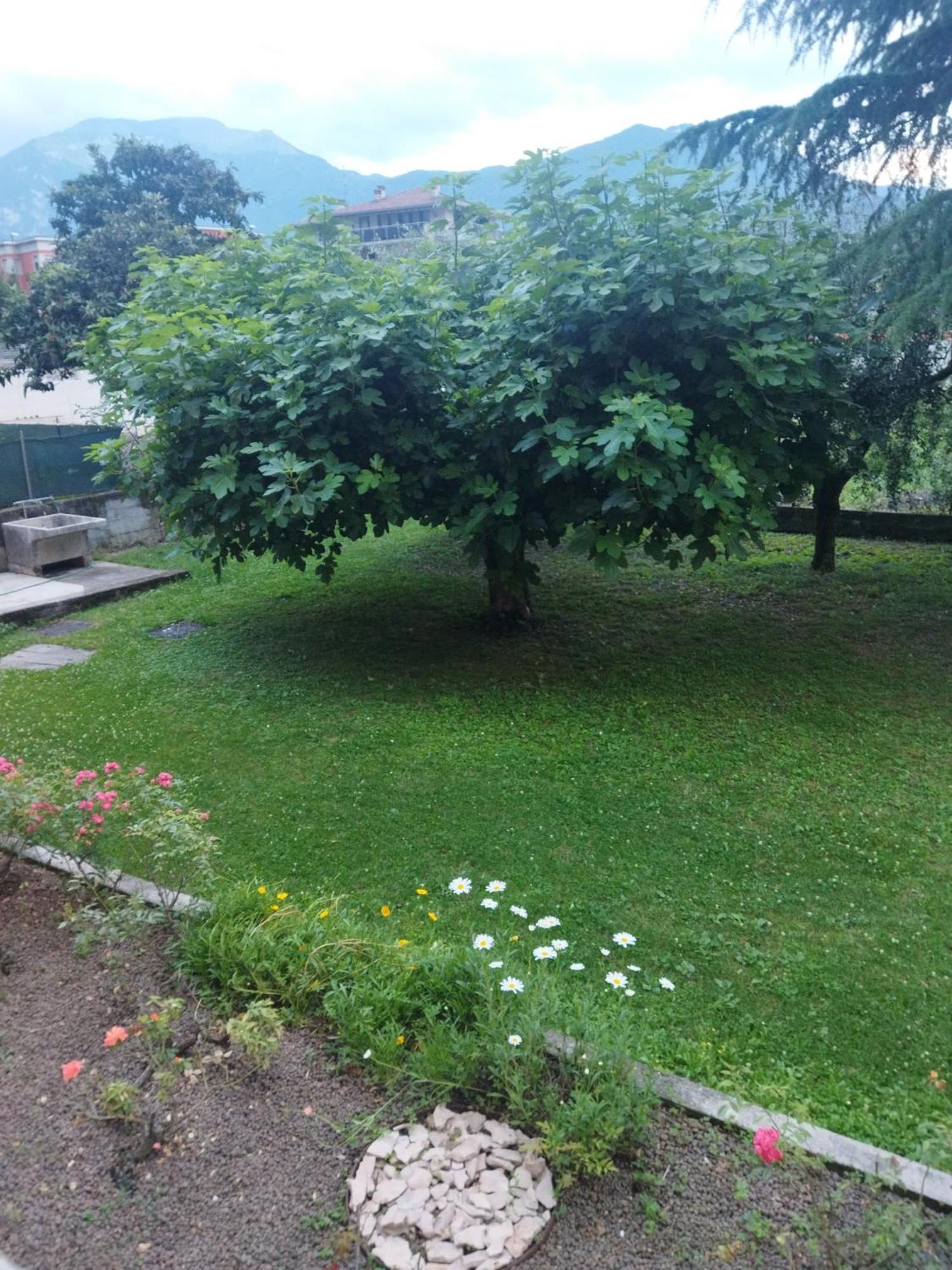 Appartamento Rose Garden House Wi-Fi Riva del Garda Esterno foto
